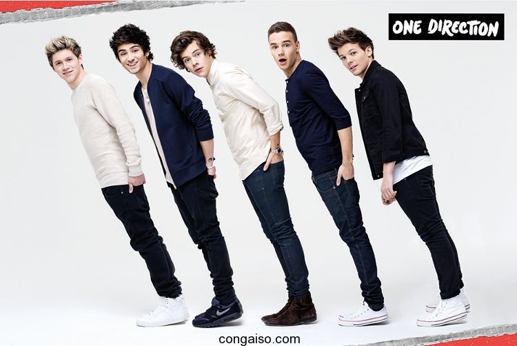 Thông tin về các thành viên nhóm One Direction