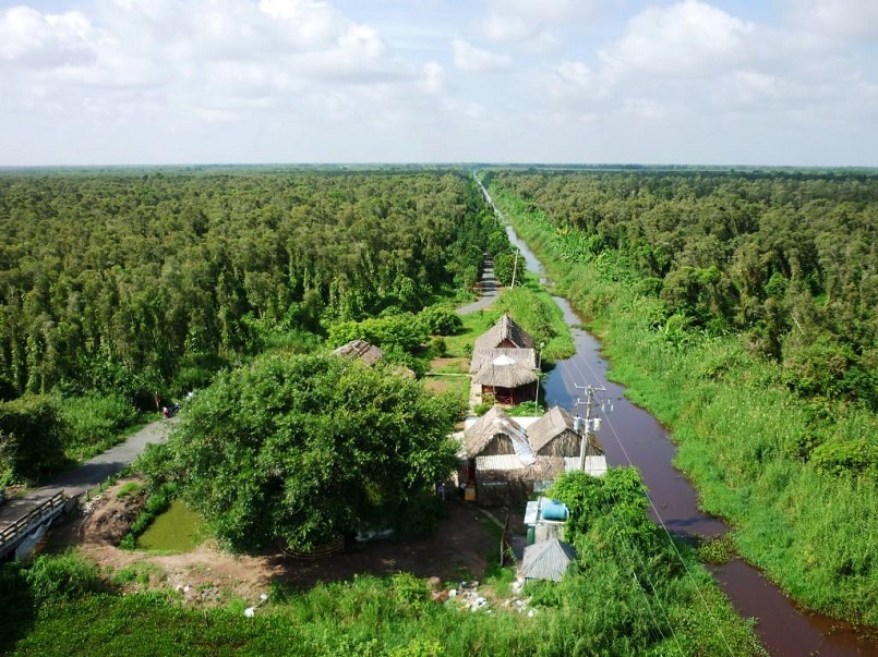 Kinh nghiệm du lịch trọn vẹn rừng U Minh Hạ ở Cà Mau 12