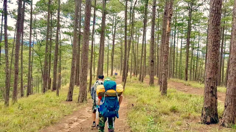 Trekking Langbiang - Thử sức chuyến leo núi săn mây cực đã cùng Celeb 11