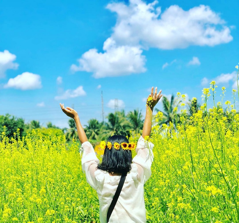 Top 10 địa điểm trồng hoa ở Đà Lạt đẹp ngây ngất cho hội sống ảo 16
