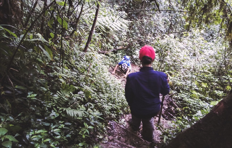 Trekking Langbiang - Thử sức chuyến leo núi săn mây cực đã cùng Celeb 19