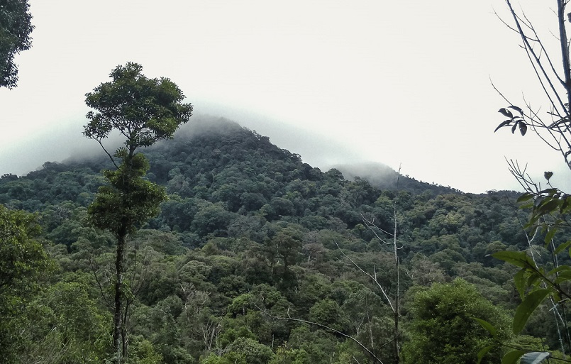 Trekking Langbiang - Thử sức chuyến leo núi săn mây cực đã cùng Celeb 12