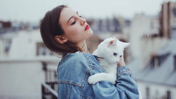 Vì sao nên yêu một cô gái thích mèo? 1