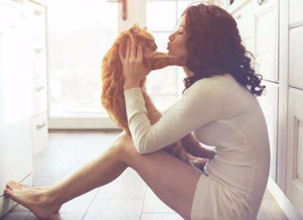 Vì sao nên yêu một cô gái thích mèo? 3