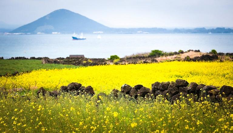 Jeju - Hòn đảo nổi tiếng nhất ở Hàn Quốc