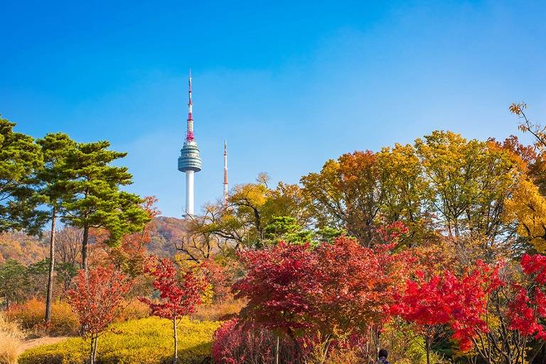 Namsan - Địa điểm du lịch Seoul nổi tiếng