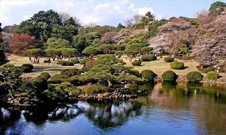 Khu vườn trong Công viên Quốc gia Shinjuku Gyoen - Địa điểm du lịch Nhật Bản