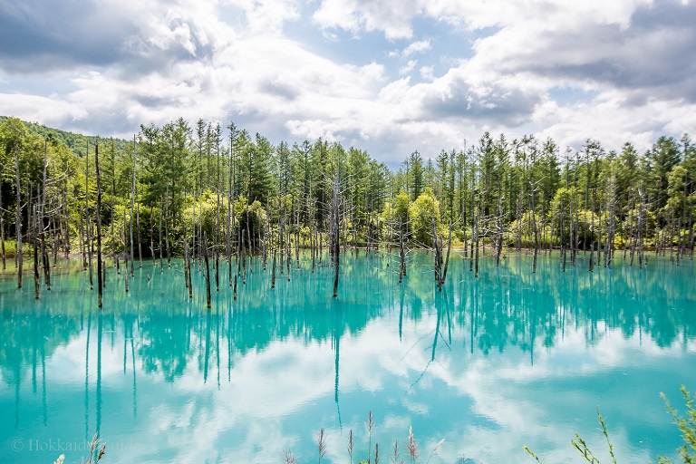 Blue Pond - Hồ nước xanh kỳ diệu của du lịch Hokkaido 