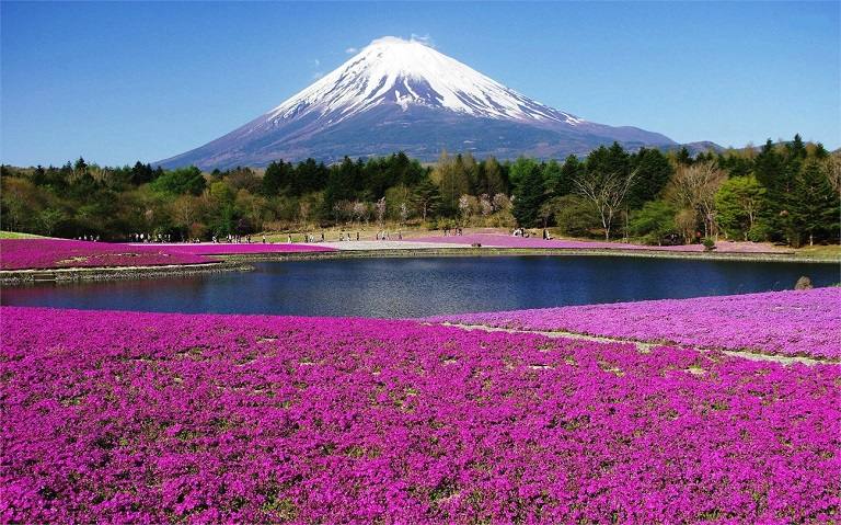 Núi Phú Sĩ - Nơi đáng đến nhất Nhật Bản 