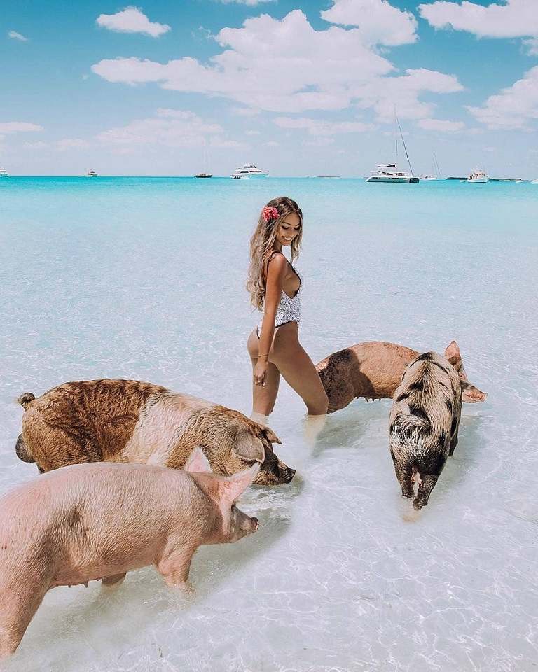 Kinh nghiệm du lịch Bahamas