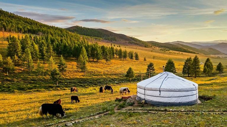 Kinh nghiệm du lịch Mông Cổ
